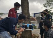 Mahasiswa UGM Inovasi Alat Pendeteksi Potensi Pohon Tumbang