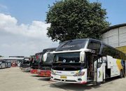 Jadwal Bus Damri Jogja Lampung via Rajabasa 2023 Ini