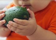 Cara Agar Anak Mau Makan Sayur