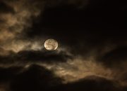 Blue Supermoon 2023 yang Langka, Bulan Purnama Terbesar Terbit 30 Agustus. (pixabay)