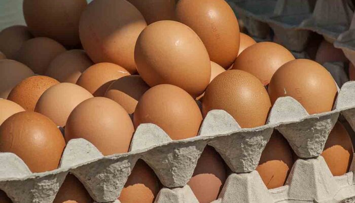 Harga Telur Hari Ini Minggu 12 November 2023 di Sleman