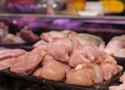 Harga Ayam Potong Hari Ini di Sleman, Minggu 26 November 2023