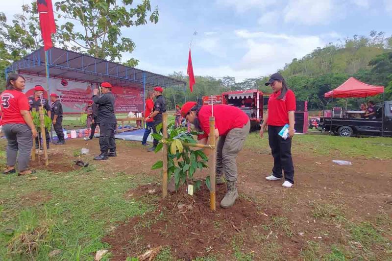 Ratusan Kader PDIP Gunungkidul Tanam Ribuan Pohon dalam HUT PDI Perjuangan ke-51. (Ist)