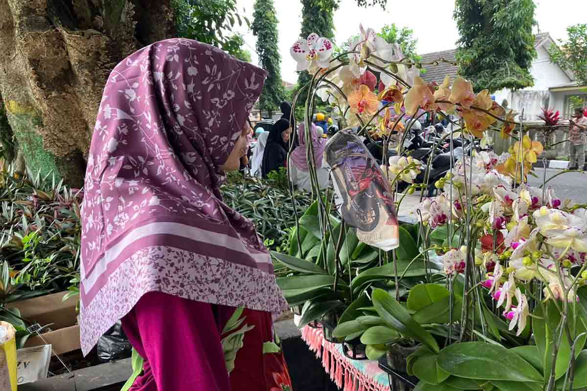 Kisah Pelaku Usaha Anggrek di Sleman, Hal Kecil yang Jadi Pintu Rezeki. (media center Sleman)