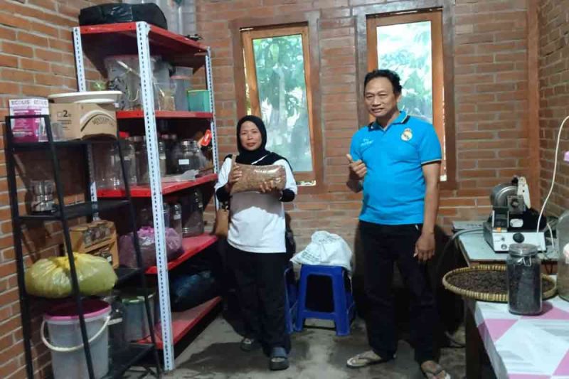 Kopi Madu Merapi di Pentingsari Sleman, Terus Jaga Eksistensi untuk Penggerak Ekonomi. (media center Sleman)